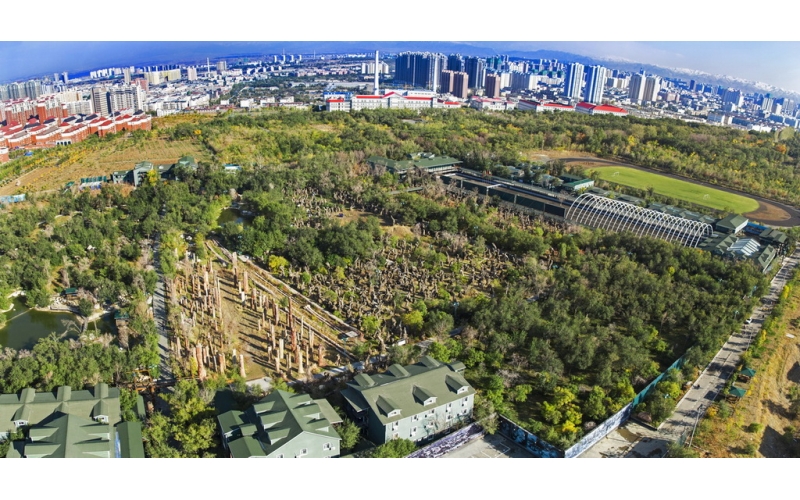 新疆马术活动协会成立