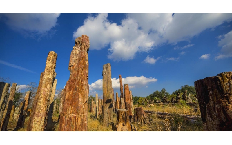 吉尔吉斯前总统与中国马会秘书长岳顶峰会晤