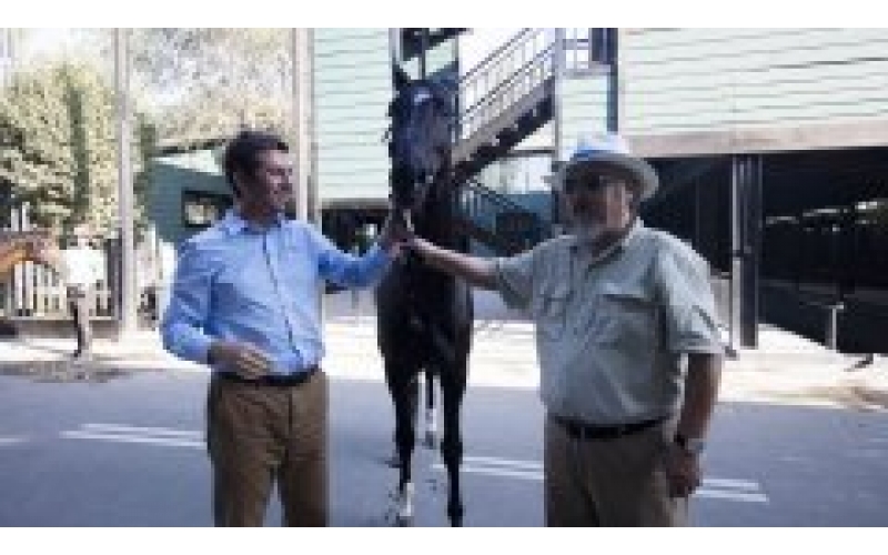 胡润百富“最受尊敬企业家晚宴”闭幕 陈志峰董