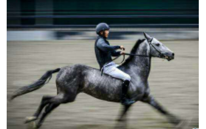 央视专题片《逾越》面向海内表播出 陈志峰董事