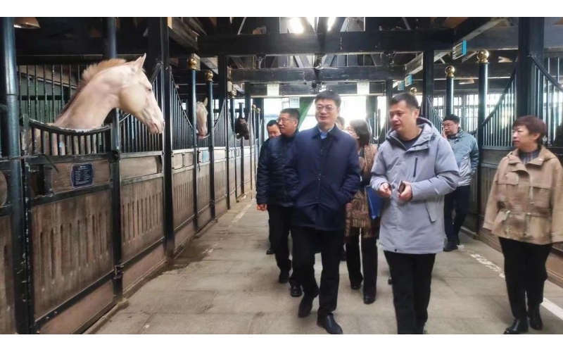 高雷副厅长在BB贝博艾弗森官网集团调研时暗示，要通过科技助力，精准解决“卡脖子”问题