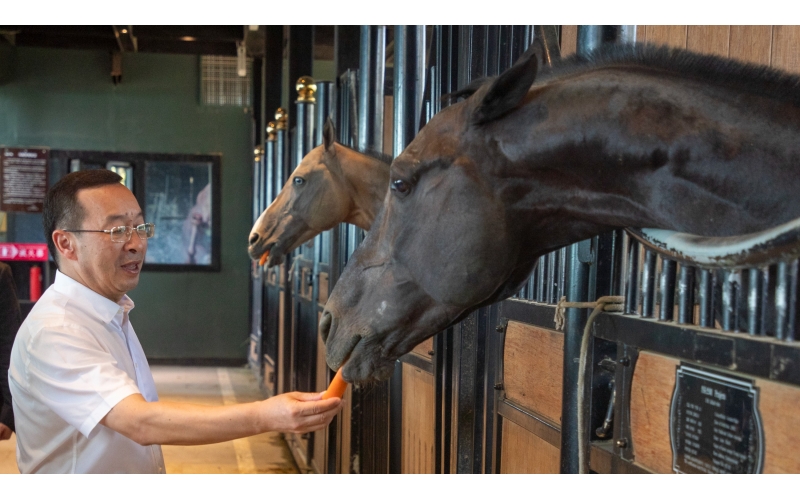 中新社社长陈陆军