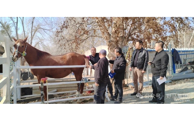 政策支持 企业发力 农夫受益&mdash;&mdash;现代畜禽种业提升专项资金项目功效显著