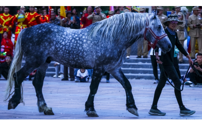 北屯市185团巡游