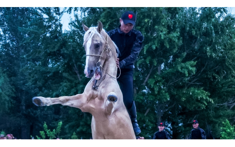 北屯市185团巡游