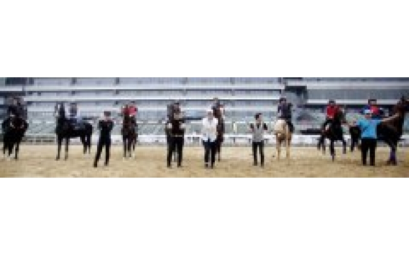 汗血宝马初次参与正式国际赛事